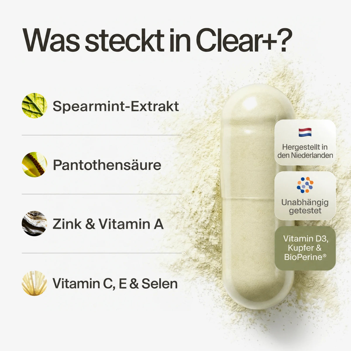 clearday gallery (de)